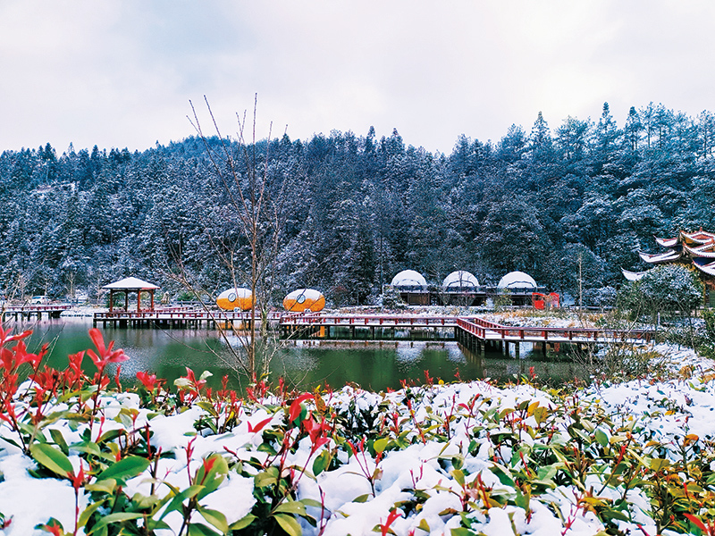 诗意紫云，共享生态——周宁县康养项目旅游景区配套设施建设蓝图